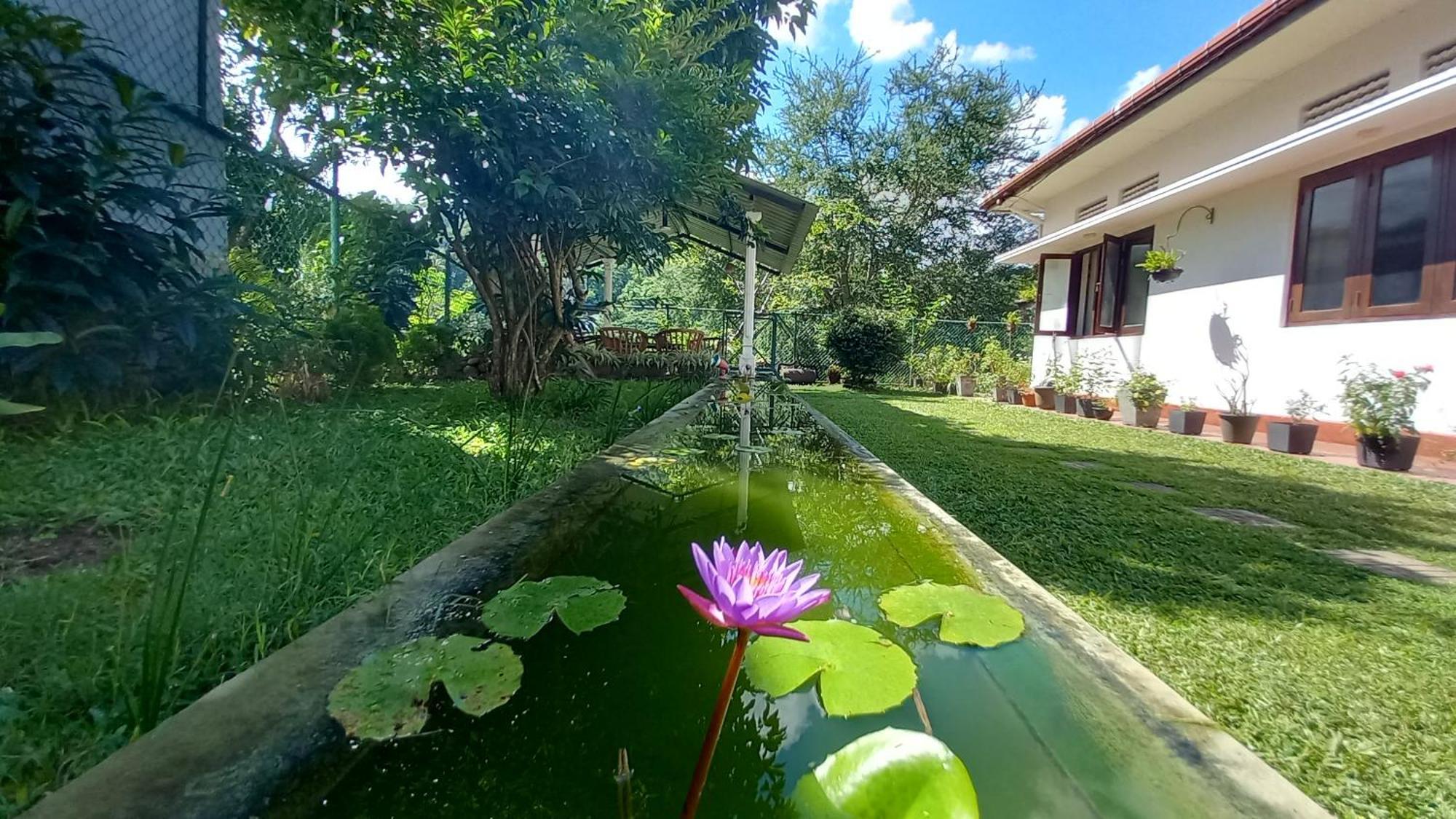 Hotel Mahaweli Shades à Kandy Extérieur photo