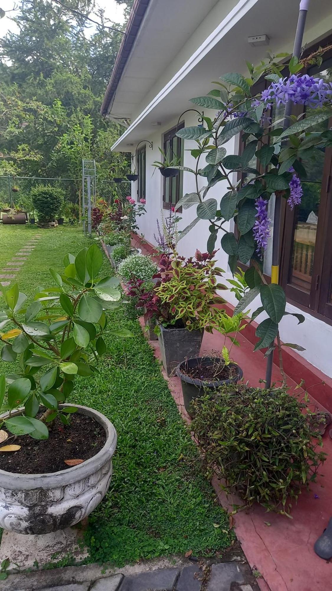 Hotel Mahaweli Shades à Kandy Extérieur photo